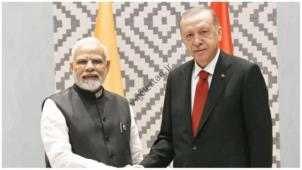 نارندرا مودی نخست وزیر ترکیه با اردوغان رئیس جمهور ترکیه دیدار کرد.  راه های تعمیق همکاری های دوجانبه را مورد بحث و بررسی قرار دهند  اخبار هند